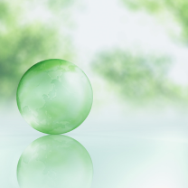 Operational Transparency