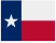 Texas GovOps State Level Customer